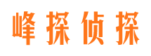 苍溪找人公司